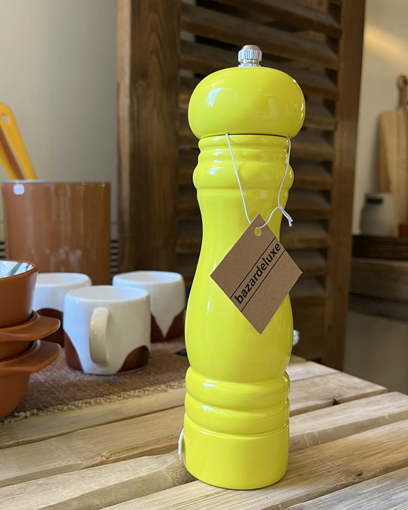 Moulin sel poivre bazar de luxe