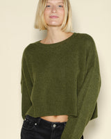 Pull tayra