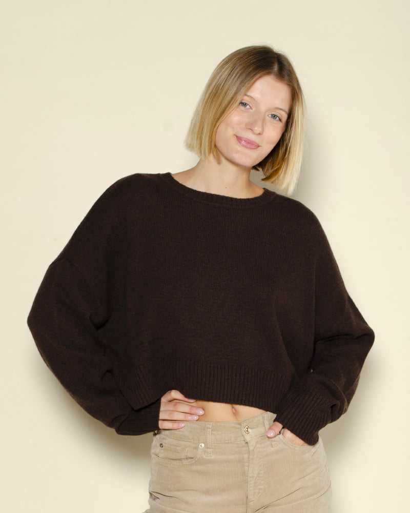 Pull tayra