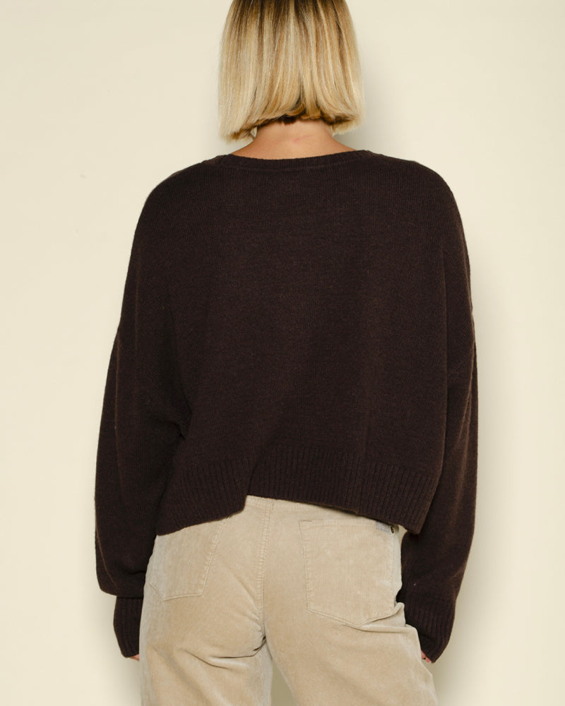 Pull tayra
