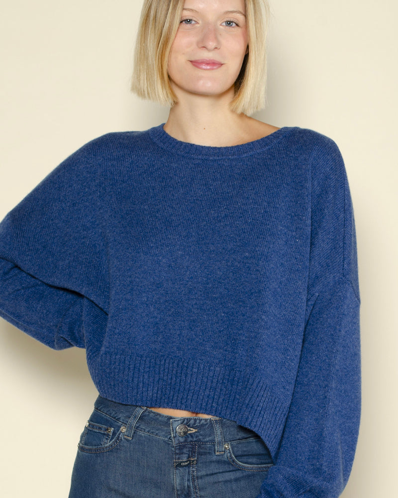 Pull tayra