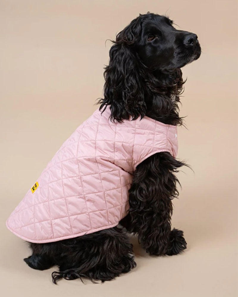 Vestes &amp; Blousons FLOTTE - Doudoune chien flotte