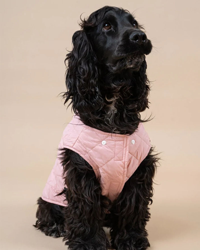 Vestes & Blousons FLOTTE - Doudoune chien flotte