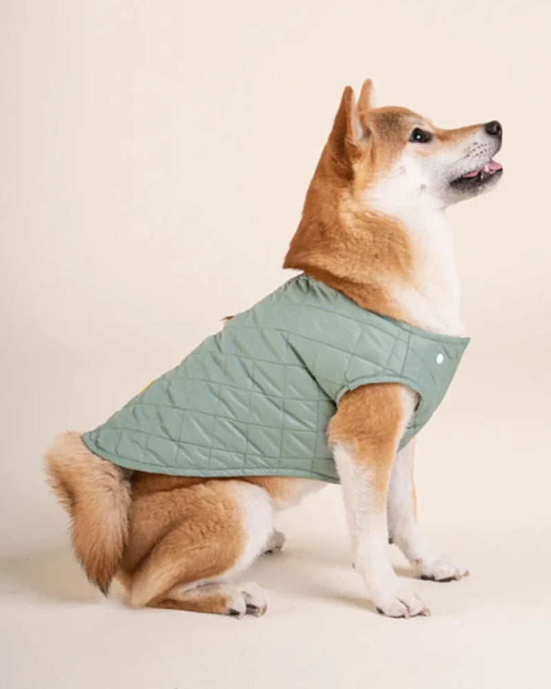 Vestes & Blousons FLOTTE - Doudoune chien flotte