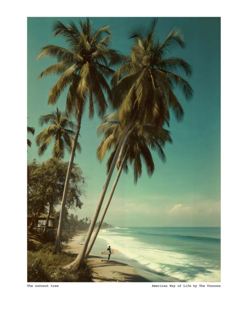 Affiche 30x40 image rpublic