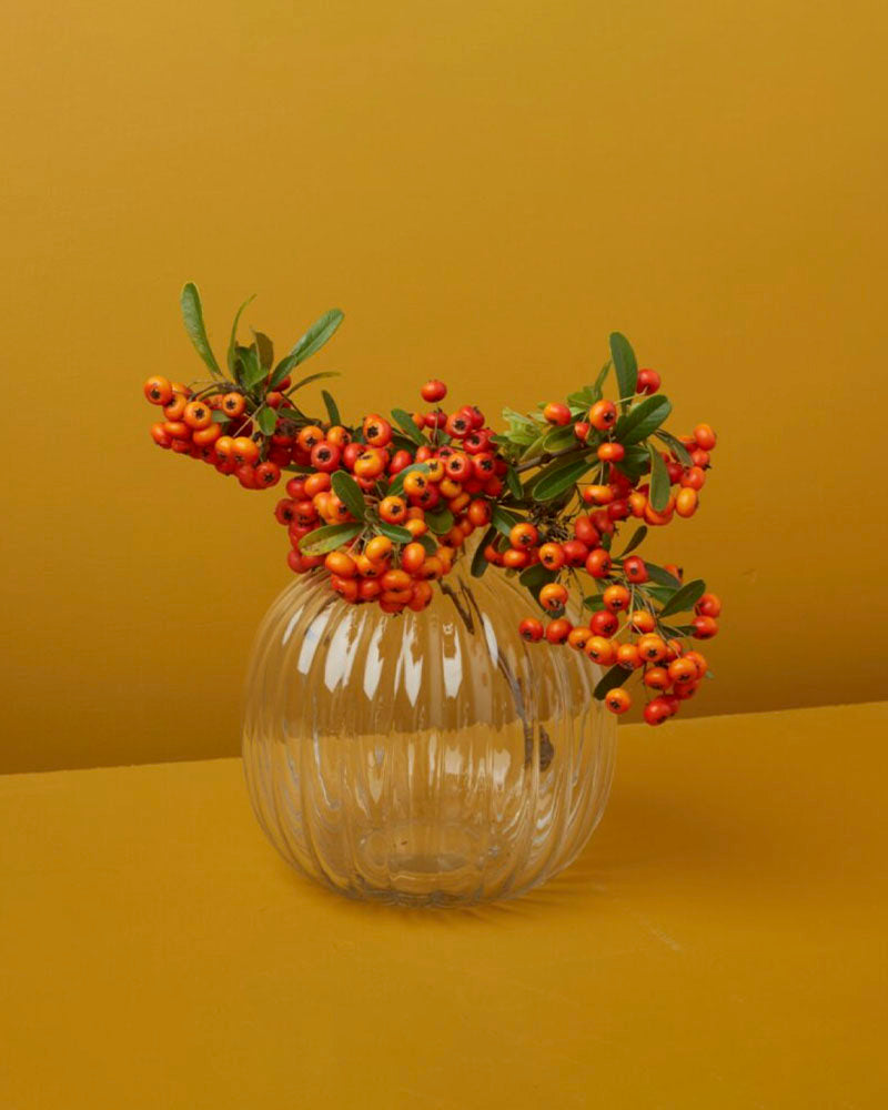 Vase spherique shae