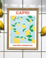 Affiches HARITZ - Affiche haritz