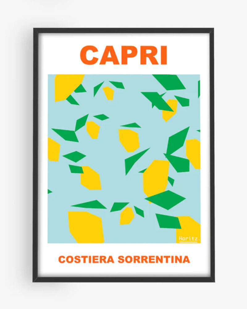 Affiches HARITZ - Affiche haritz