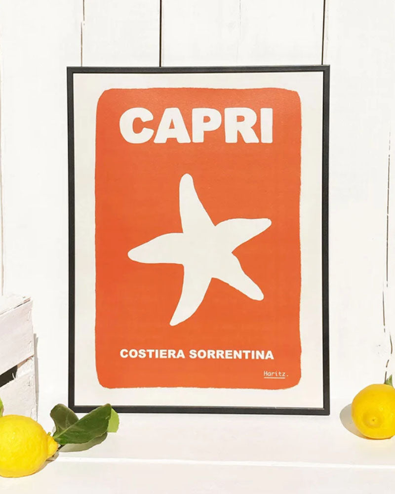 Affiches HARITZ - Affiche haritz