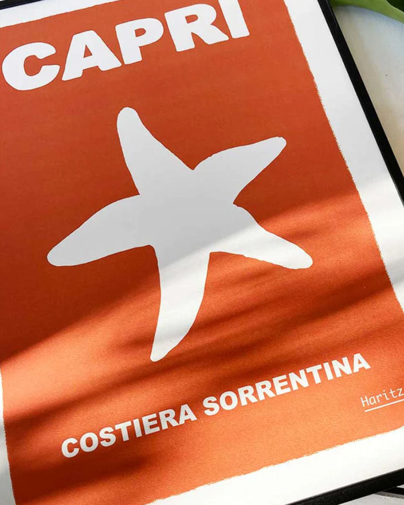 Affiches HARITZ - Affiche haritz