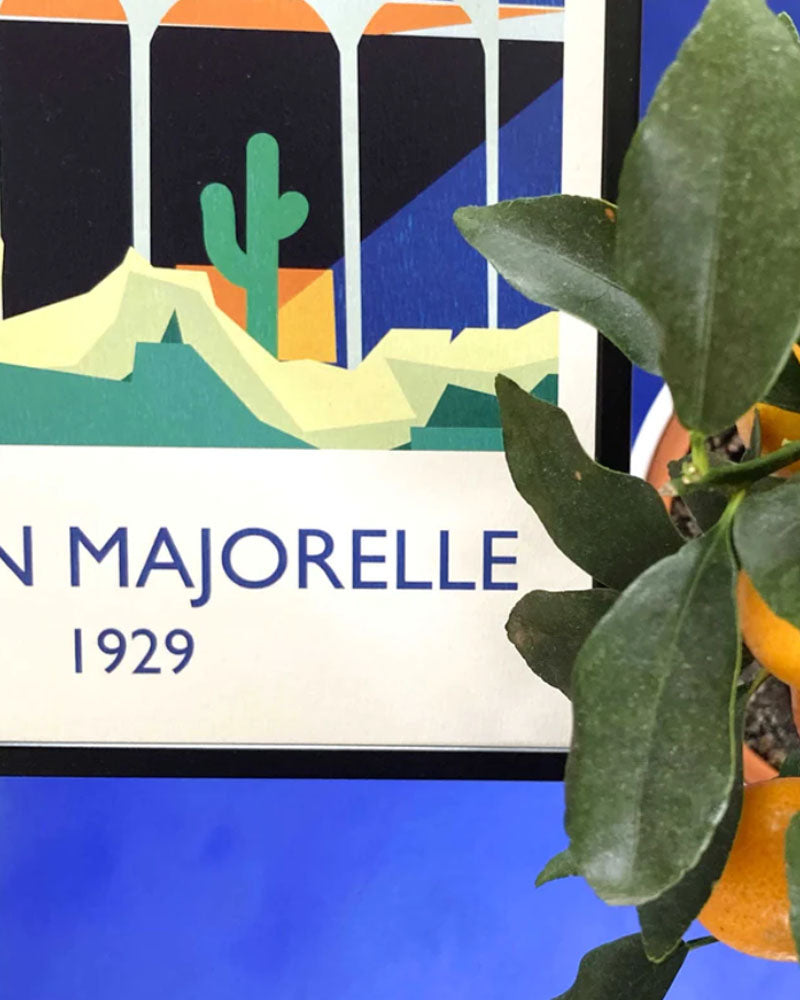 Affiches HARITZ - Affiche haritz