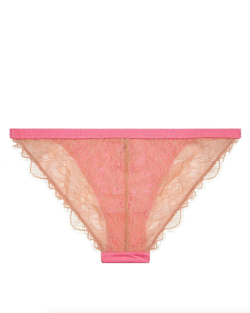 Culotte wild rose love stories